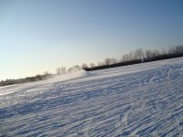 DSC00354.jpg