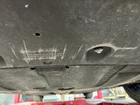 IMG_7762.jpeg IMG_7762.jpeg