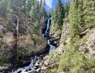 IMG_7208.jpeg