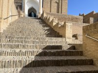 IMG_7351.jpeg