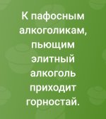 IMG_20240301_072951.jpg