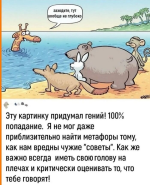 1721253250039.png