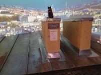 20240810_223826.jpg 20240810_223826.jpg