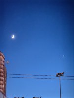 IMG_20250104_172346-01.jpeg