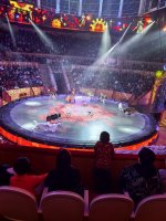 IMG_20250108_192135-01.jpeg