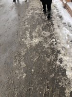 IMG_6515.jpeg