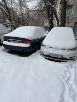 IMG_9641.jpeg