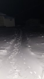 20250215_204343.jpg