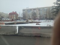 20250226_085343.jpg
