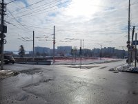 20250228_145542.jpg