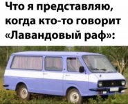 IMG_20250319_133110.jpg