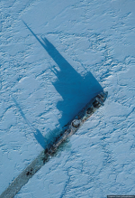 1742403131987.png