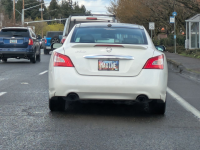 1743792658037.png