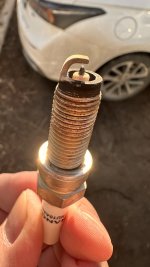 IMG_3730.jpeg