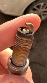 IMG_3732.jpeg