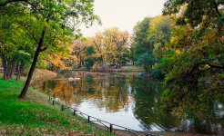 IMG_0556.jpeg