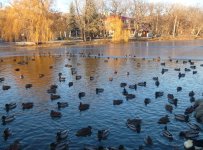 IMG_0559.jpeg