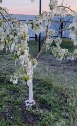 Screenshot_2025-04-28-21-50-53-97_6012fa4d4ddec268fc5c7112cbb265e7.jpg