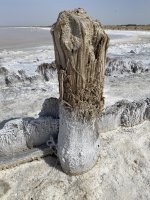 IMG_1604.jpeg
