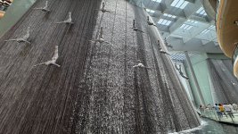 IMG_9502.jpeg