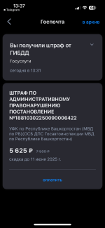 IMG_4205.png