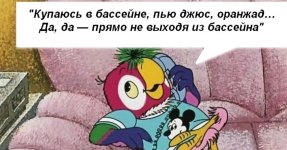 Кеша.jpeg