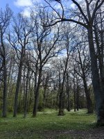 IMG_20250516_141107-01.jpeg