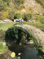 IMG_0538.jpeg