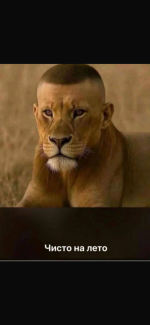 IMG_5903.png