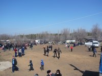P1040323_новый размер.JPG