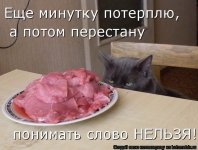 image009.jpg