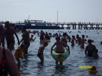 SANY0500.jpg