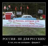 7kzbucb243fn.jpg