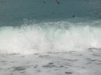 IMG_2479.JPG