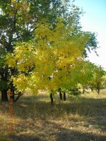 DSCN1414.JPG