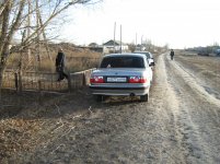 IMG_3557.jpg