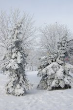 DSC_4420.jpg