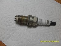 SDC12576.jpg