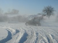 IMG_1268.jpg