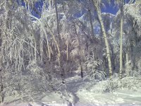 17012010Кумыска.jpg