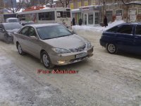 х559хх64-мордо.jpg