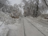 IMG_0857.jpg