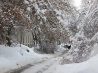 дорожка.jpg
