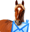 b-teaser_horse.png