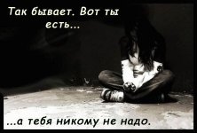 20c1d5af39c8adb26ba7b99381f04c30_full.jpg 20c1d5af39c8adb26ba7b99381f04c30_full.jpg