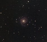 m74_.jpg