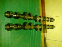 16032010088.jpg