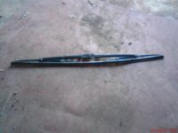 DSC00361 газель.JPG
