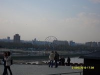 SDC10455.jpg