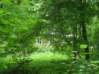 DSCN3725.jpg DSCN3725.jpg